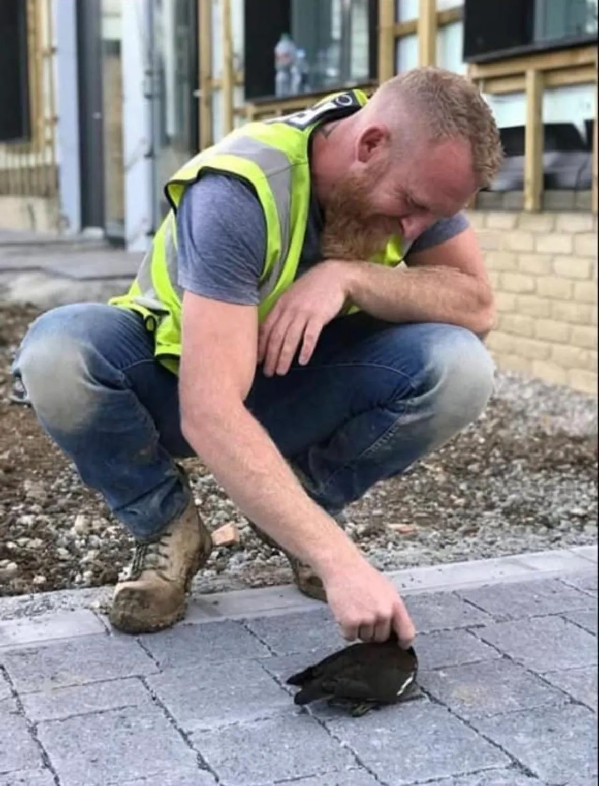 DJG Groundworks & Landscaping project