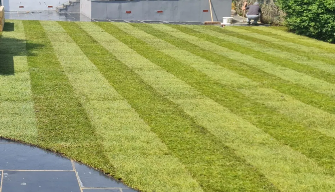 Freshly laid striped turf lawn