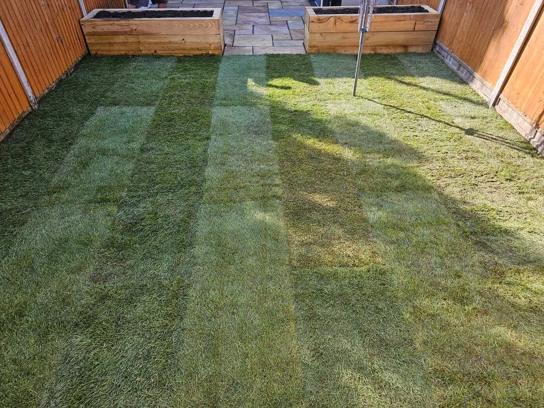 Freshly laid turf with raised planters by DJG Groundworks